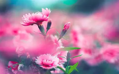 我在远方,思你如故