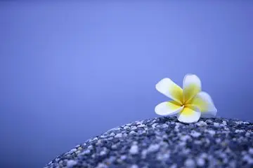 每个优秀的人，都有一段沉默的时光