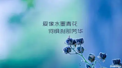 放下了个性,放下了固执,都只是因为放不下你