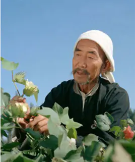 吴吉昌