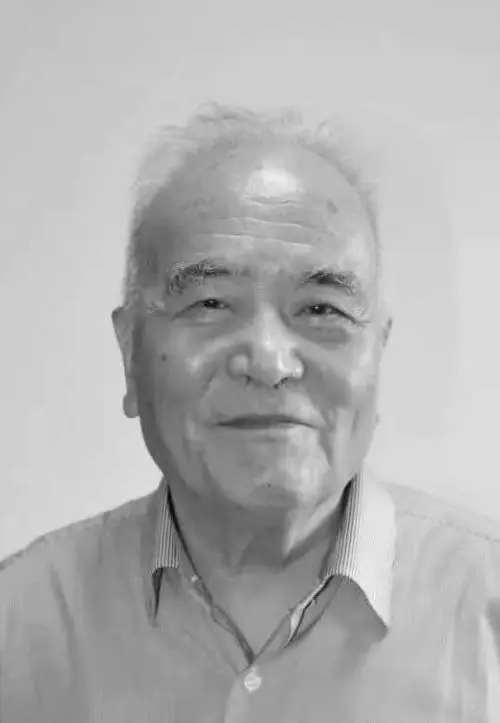 何清谷