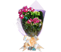 长寿花（祈福）