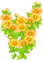 太阳花（哀思）