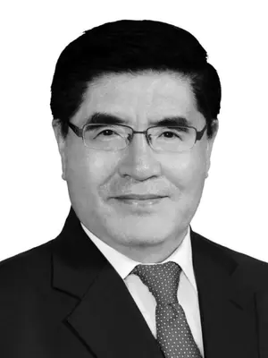 应急管理部部长王玉普因病逝世,享年64岁