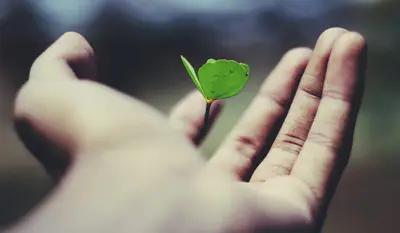 人生,是一种责任!