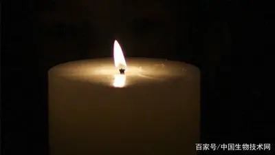 北京大学公共卫生学院原院长、毒理学教授张铣逝世