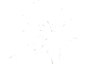 绚烂礼花