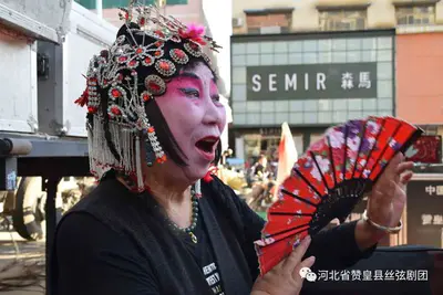 痛惜！赞皇丝弦传承人王秀金逝世