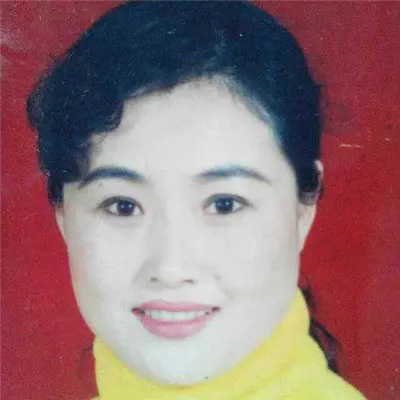 痛心!何氏散手第四代传承人王梦琴因病去世