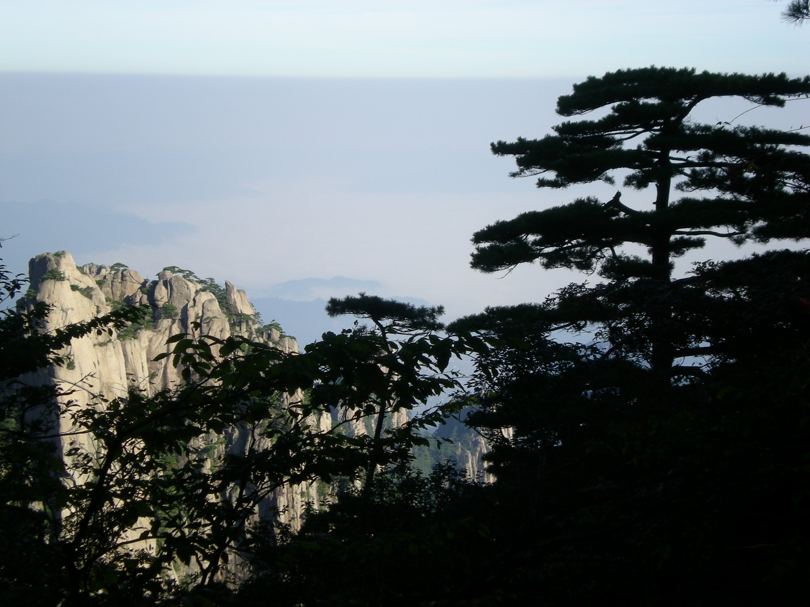 黄振华
