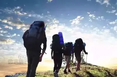 人,不能太闲