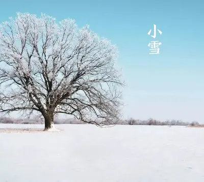 今日小雪丨小雪忽至，万物冬藏，愿君多珍重！