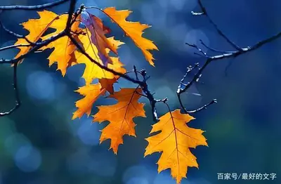 余生,淡淡生活,慢慢变老!