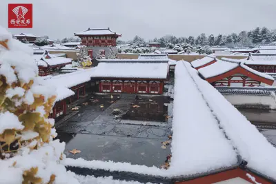 今日大雪,冷空气即将来袭!