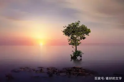 再见,2021年!