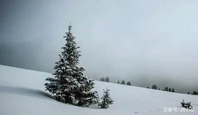沉住气,成大器