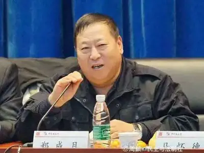 “聂树斌案推动者”郑成月去世,享年62岁