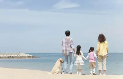 520,致我最爱的人