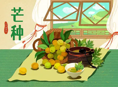 今日芒种丨播种努力,收获幸福