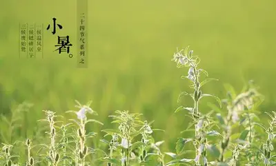今日小暑 | 小暑节气知多少?