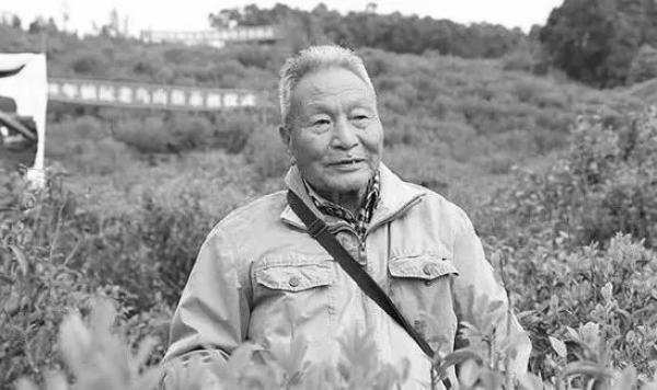“云南无性系茶树良种之父”肖时英逝世 享年91岁