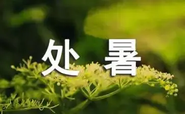 二十四节气处暑：渐有新凉递好秋