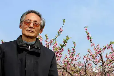 悼念!巢湖著名作家朱鹤年先生辞世