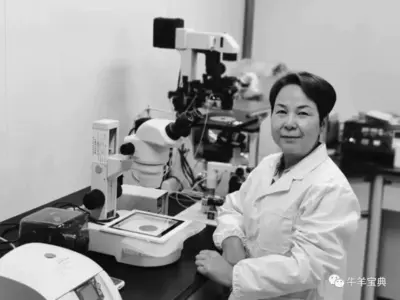 云南省畜牧兽医科学院院长洪琼花逝世,享年54岁