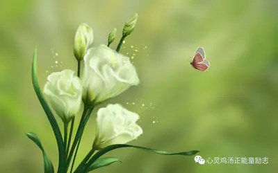成大器者,必经历四种磨炼!