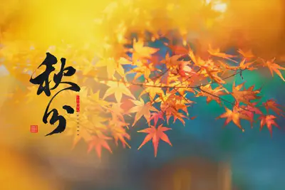 今日秋分:愿生活,恰如其分