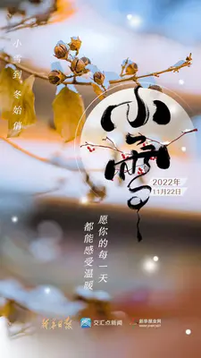 今日小雪,静待美好!
