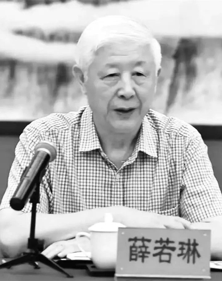 薛若琳