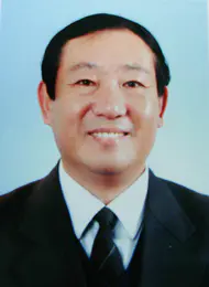 陆新元