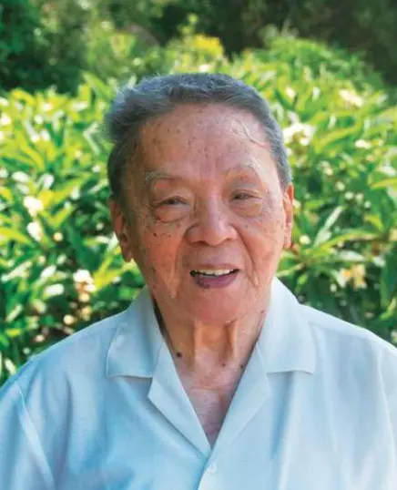岑桑